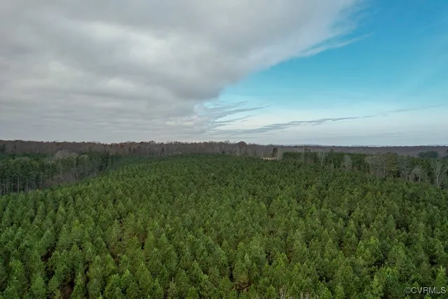 $574,000 | Tbd Perkins Mill Road, Dillwyn, VA 23936