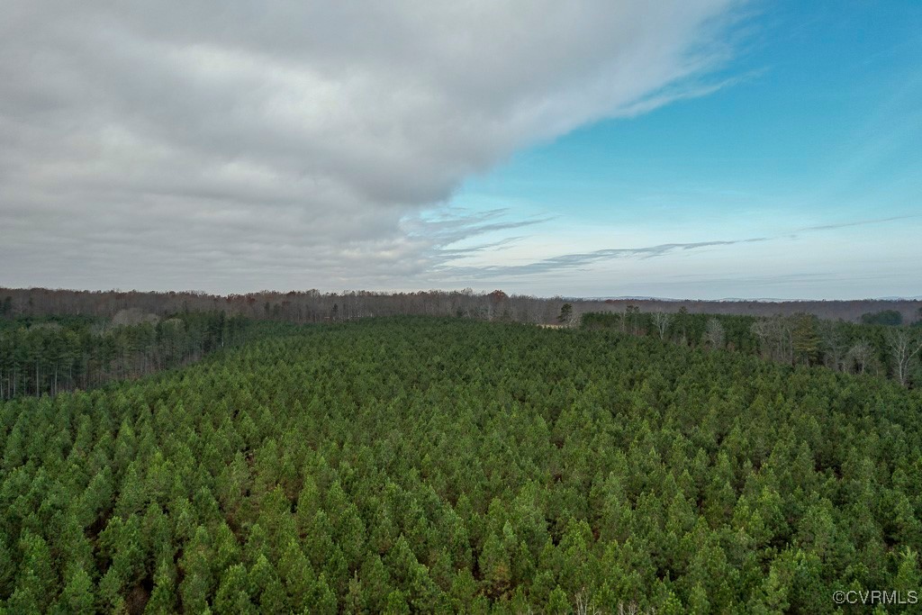 Tbd Perkins Mill Road Dillwyn, VA 23936 - Photo 3 of 21 View of woods