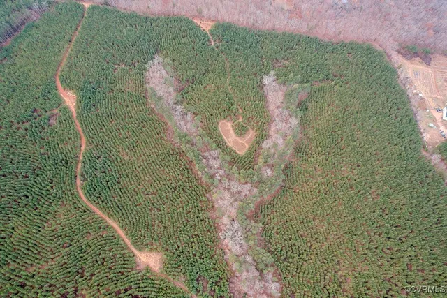 $574,000 | Tbd Perkins Mill Road, Dillwyn, VA 23936