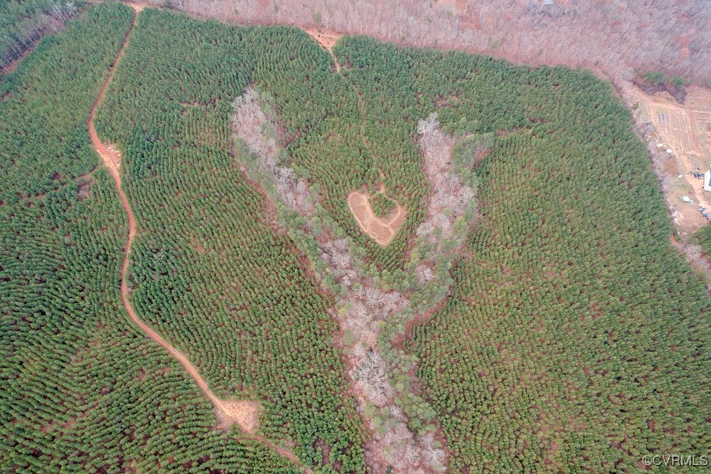 Tbd Perkins Mill Road Dillwyn, VA 23936 - Photo 4 of 21 Aerial view of property and surrounding area