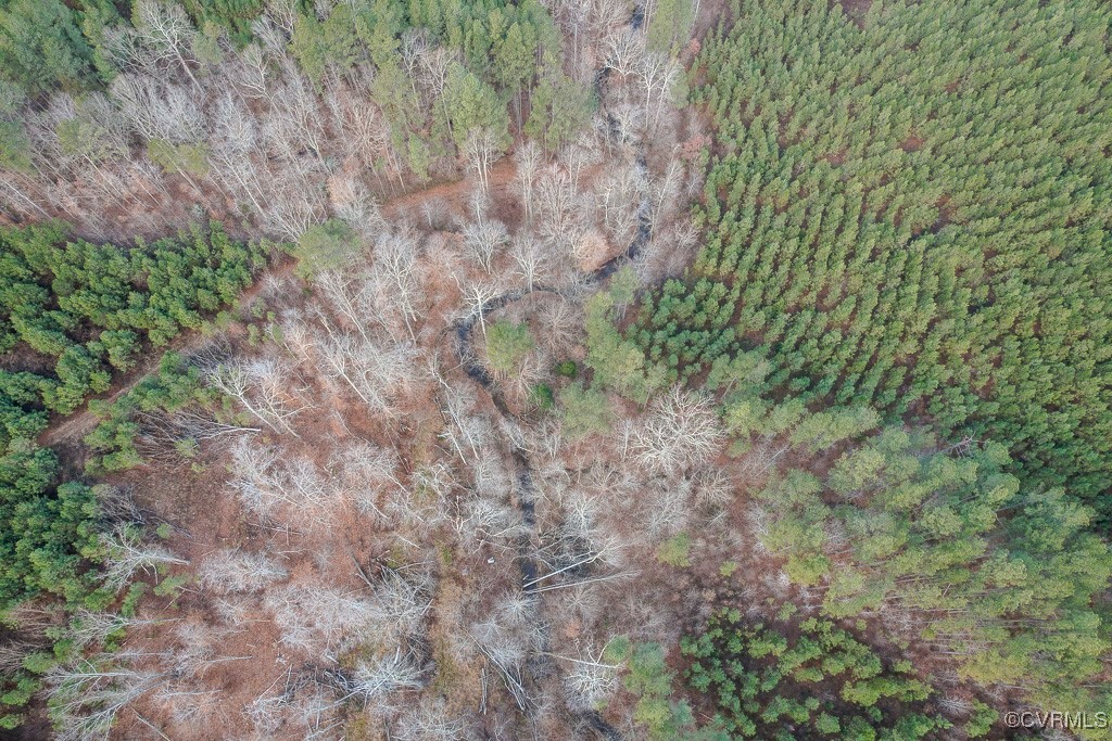 Tbd Perkins Mill Road Dillwyn, VA 23936 - Photo 5 of 21 Aerial overview of property's location