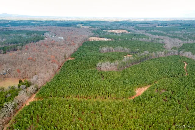 $574,000 | Tbd Perkins Mill Road, Dillwyn, VA 23936