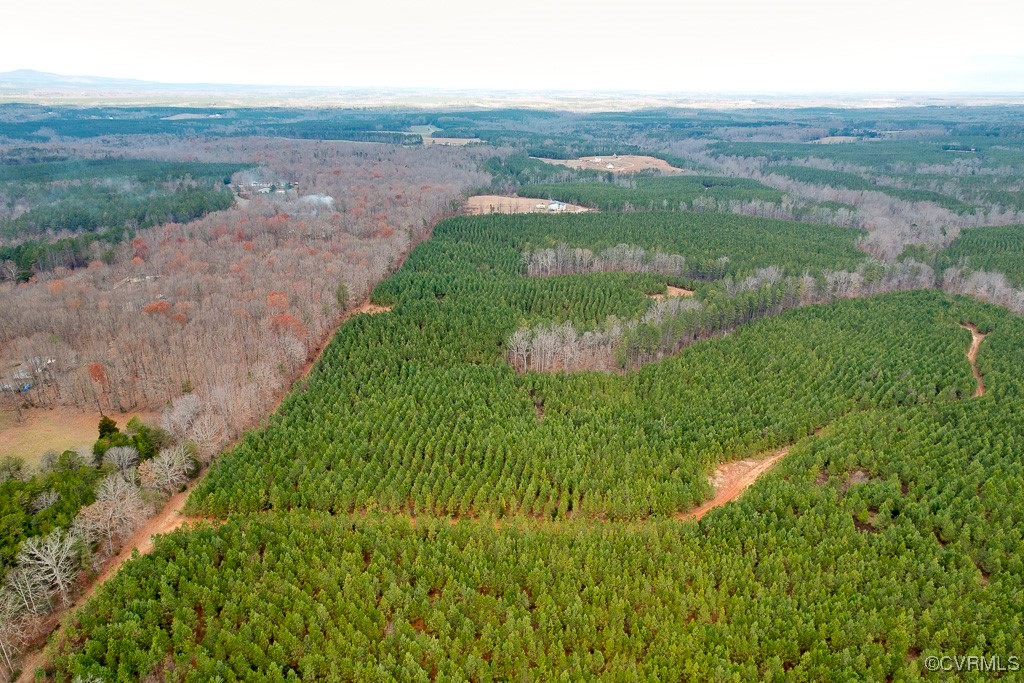 Tbd Perkins Mill Road Dillwyn, VA 23936 - Photo 8 of 21 Bird's eye view of a heavily wooded area