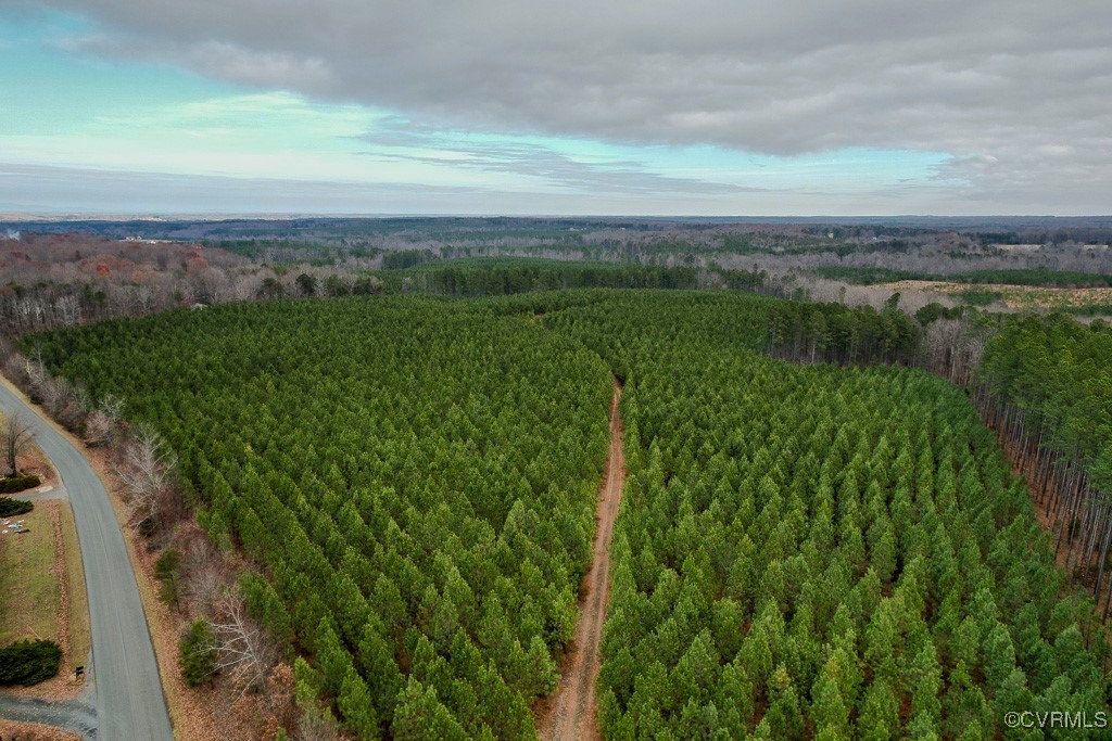 Tbd Perkins Mill Road Dillwyn, VA 23936 - Photo 9 of 21 Bird's eye view of a heavily wooded area