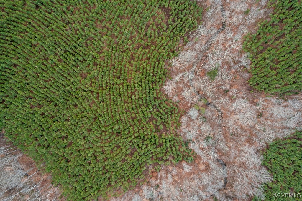 Tbd Perkins Mill Road Dillwyn, VA 23936 - Photo 10 of 21 Aerial overview of property's location