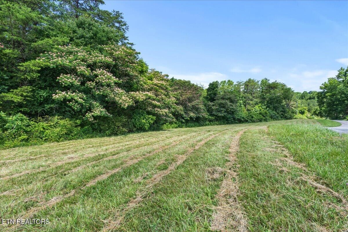 982 Wilson Station Road Madisonville, TN 37354 - Photo 44 of 46