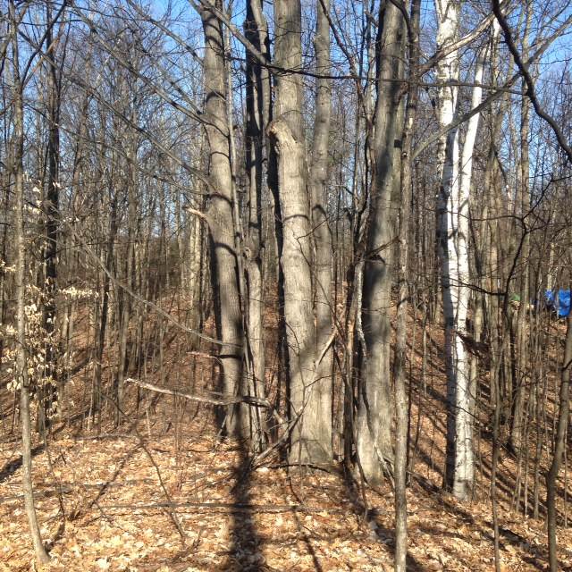 7 Hills Road Traverse City, MI 49686 - Photo 10 of 22 1797370-9.JPG
