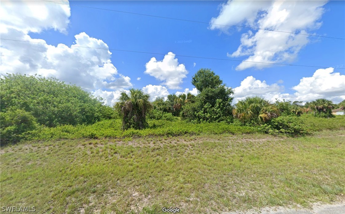 a view of a yard with plants