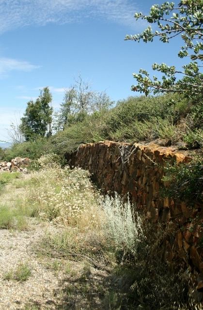 890 Pineoak Ridge Road Julian, CA 92036 - Photo 14 of 25 Gallery Image 14