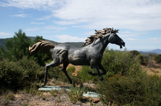 890 Pineoak Ridge Road Julian, CA 92036 - Photo 3 of 25 Gallery Image 3