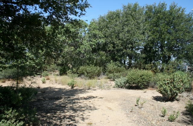 890 Pineoak Ridge Road Julian, CA 92036 - Photo 4 of 25 Gallery Image 4