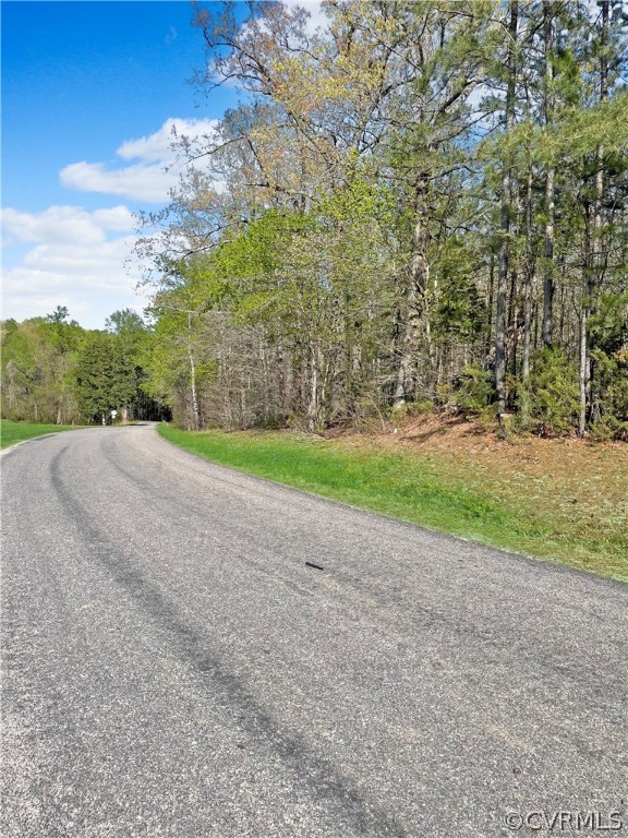 0 Daniel Road Blackstone, VA 23824 - Photo 3 of 5 View from Road
