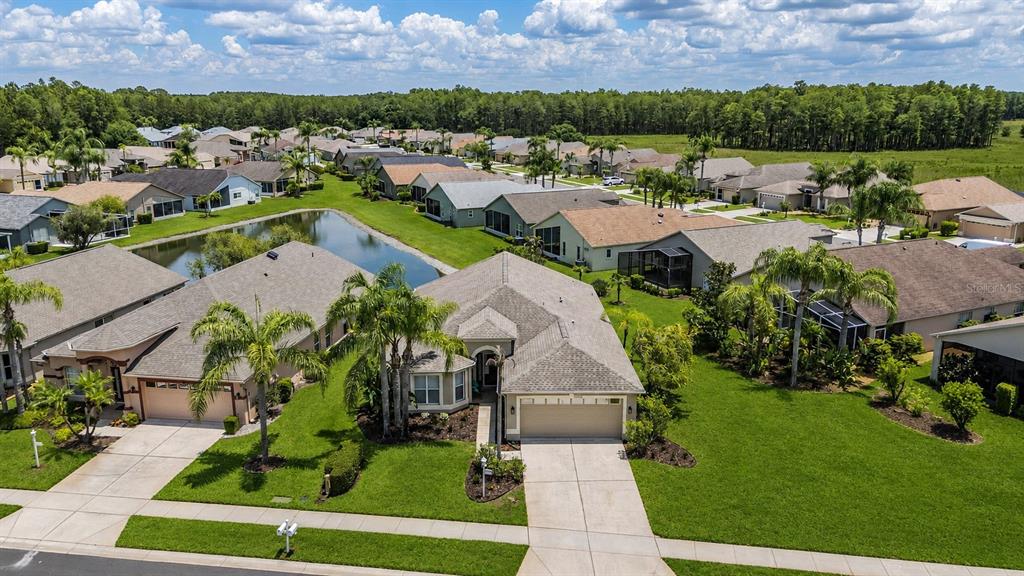 1032 Dustan Place Trinity, FL 34655 - Photo 3 of 51