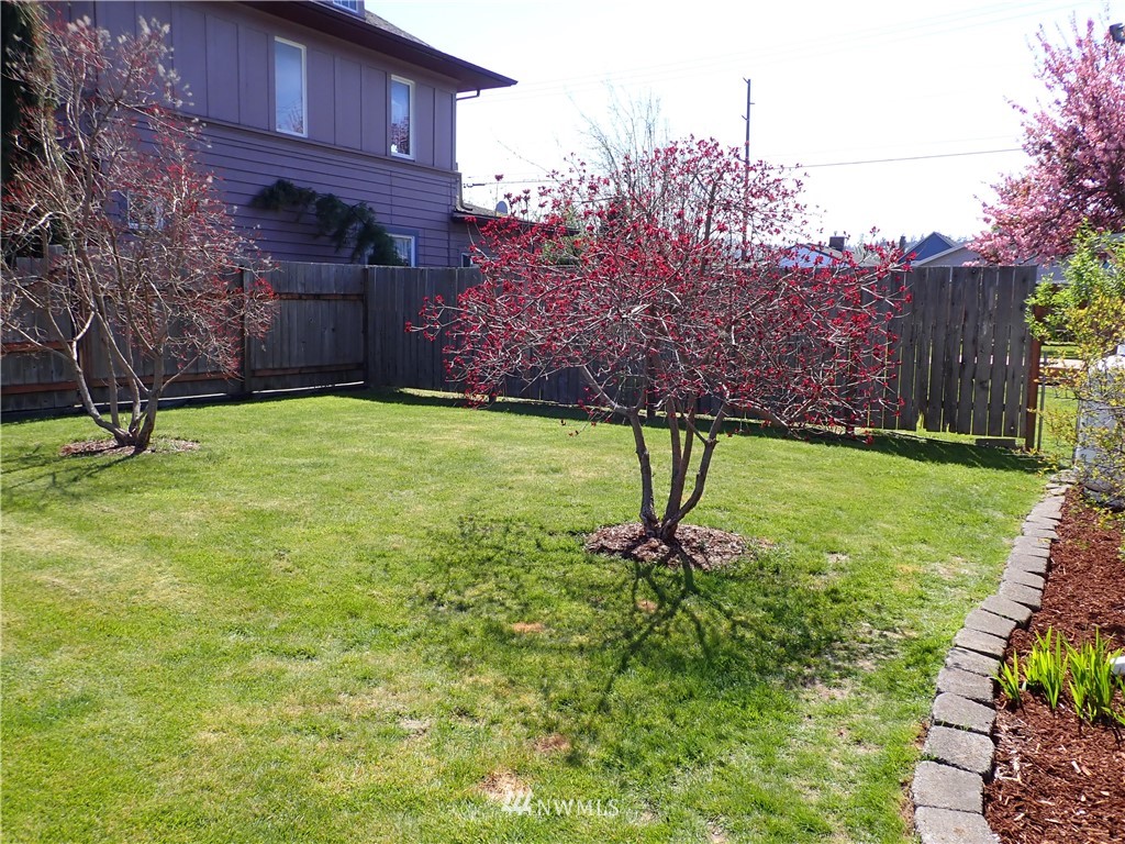 812 1st Street Cosmopolis, WA 98537 - Photo 4 of 40 Gallery Image 4