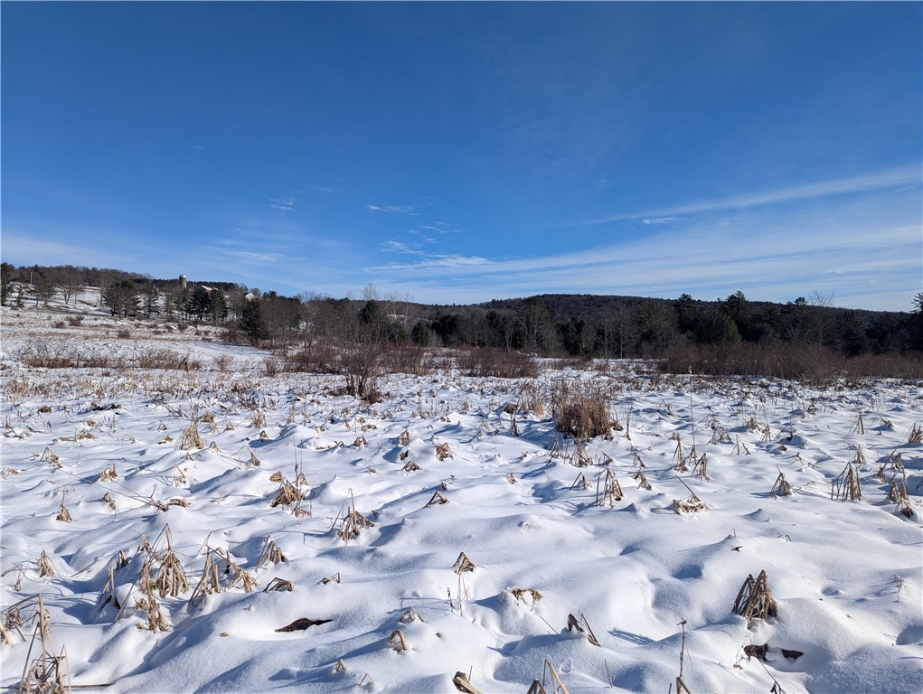 638 Phillips-Odell Road Guilford, NY 13809 - Photo 3 of 8