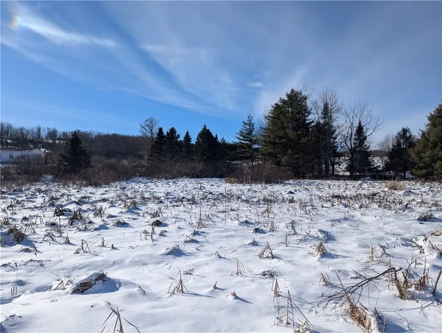 $14,000 | 638 Phillips-Odell Road, Guilford, NY 13809