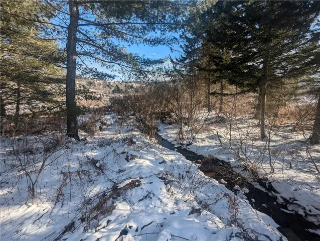 $14,000 | 638 Phillips-Odell Road, Guilford, NY 13809