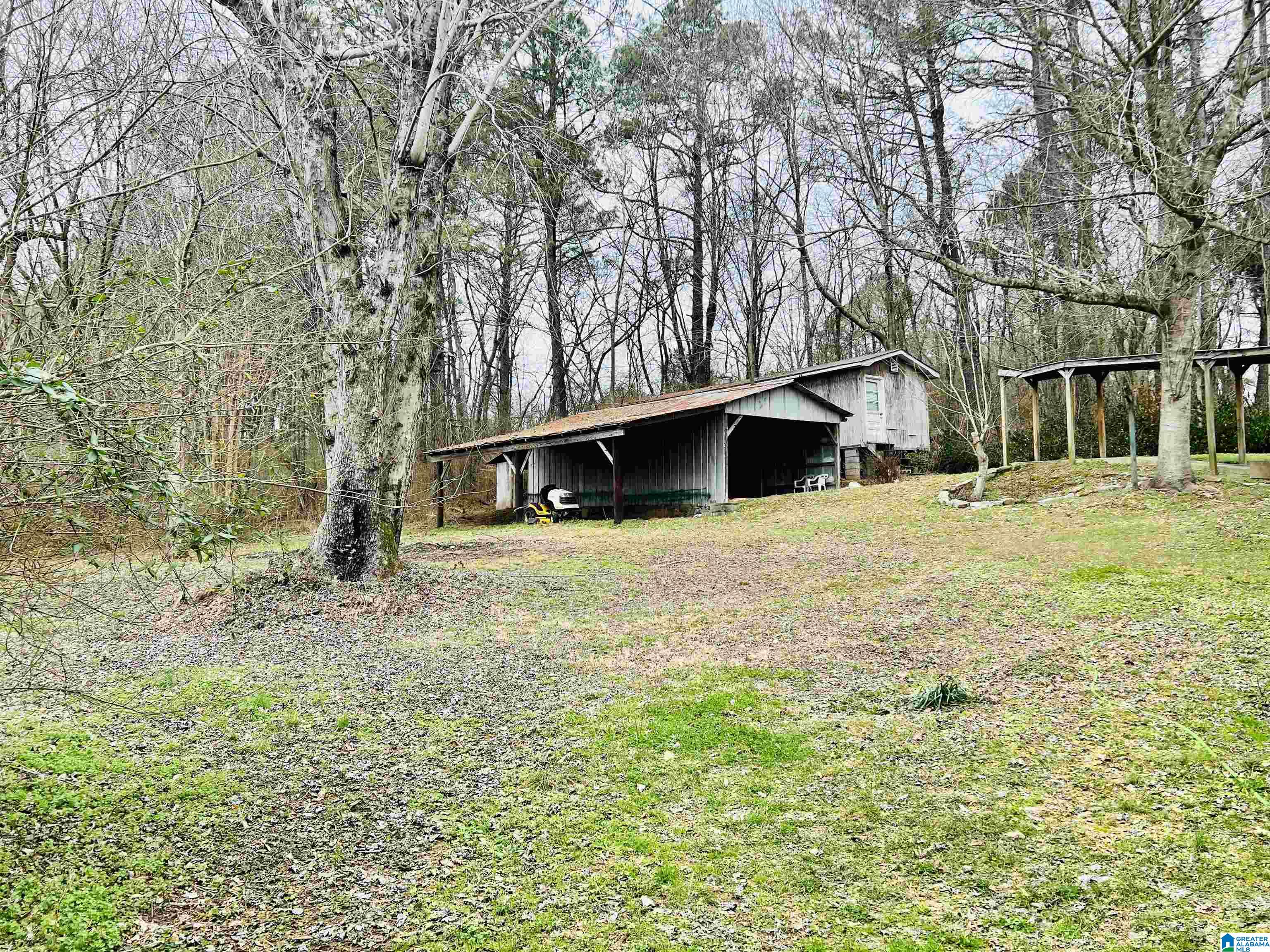5373 Old Scott Road Blountsville, AL 35031 - Photo 3 of 21