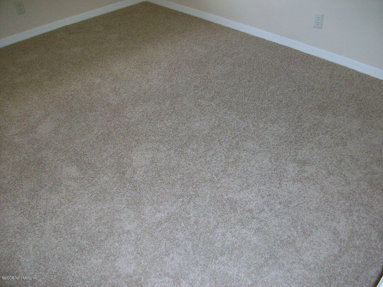 5534 Patsy Anne Drive Jacksonville, FL 32207 - Photo 8 of 13 upgraded carpet
