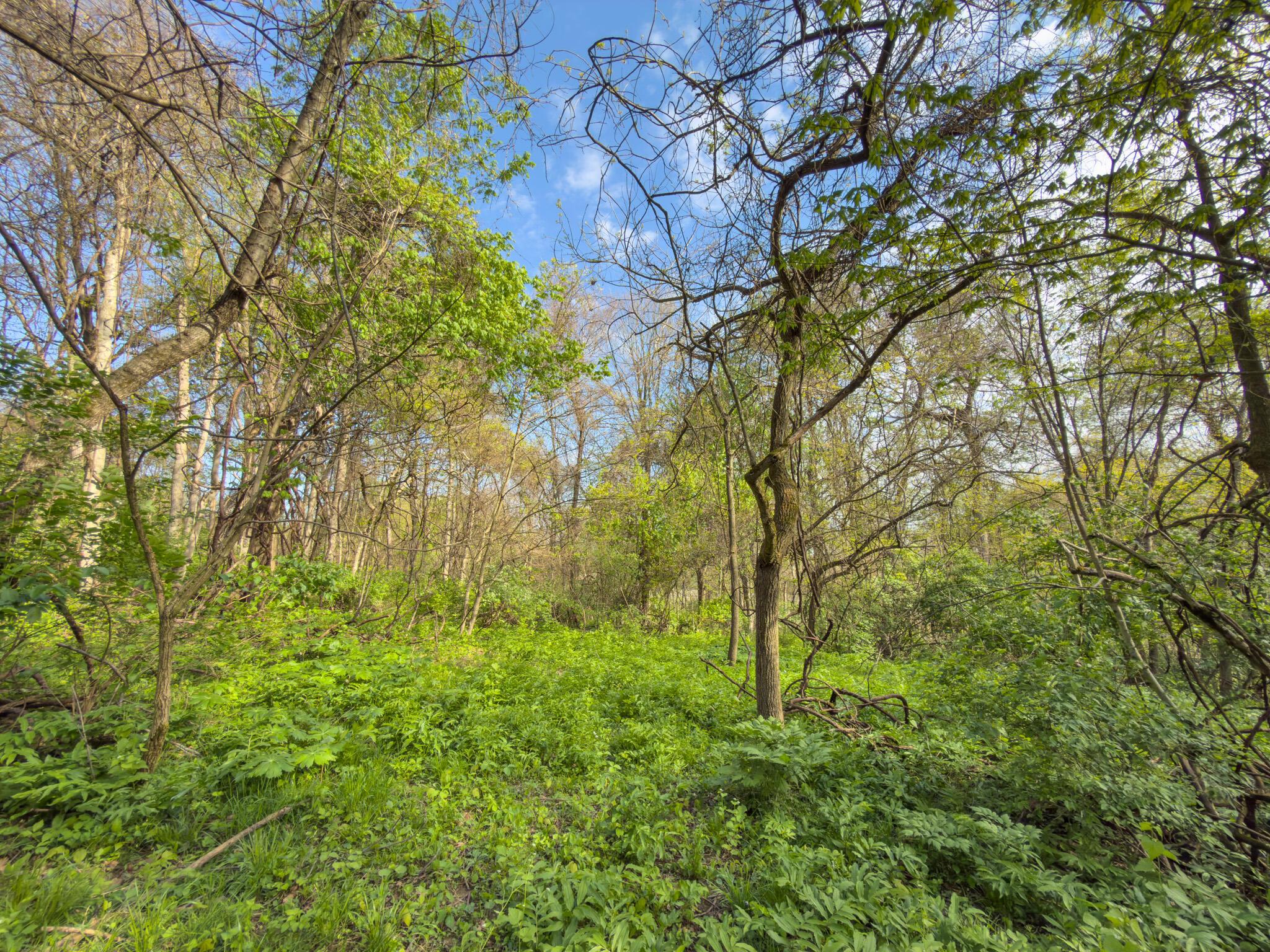 9874 Cincinnati-Zanesville Road Southwest Amanda, OH 43102 - Photo 28 of 50 cinci-zane rd sw-28