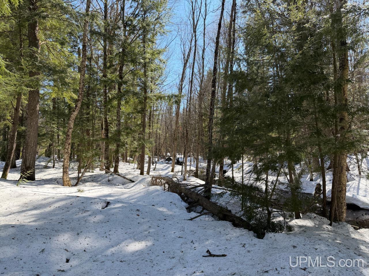 40-acres Dukes Road Skandia, MI 49885 - Photo 4 of 24