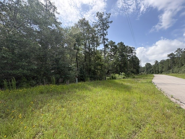 Lot 13 Windmill Road Huntsville, TX 77340 - Photo 37 of 39