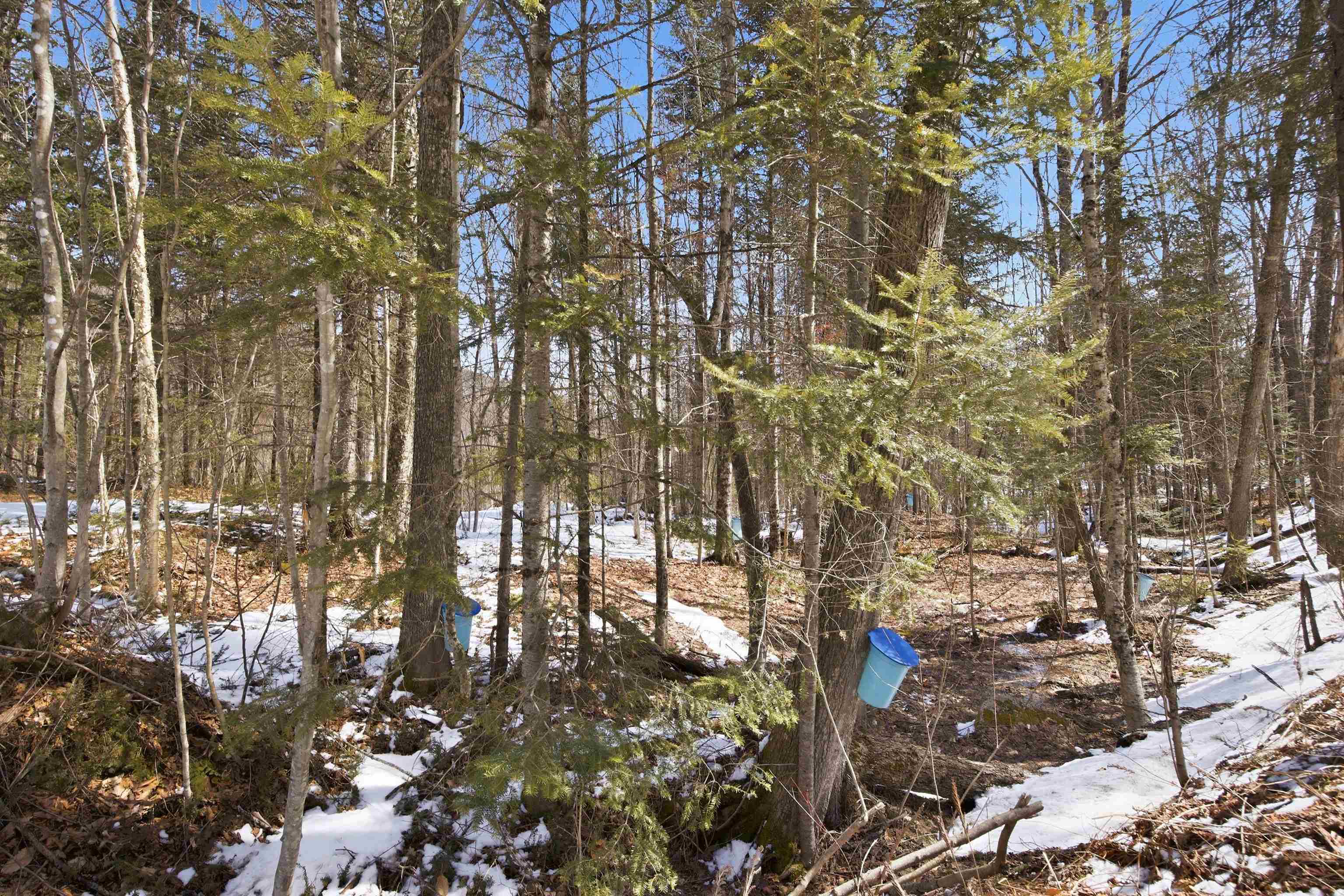 3190 Granby Road Guildhall, VT 05905 - Photo 37 of 42