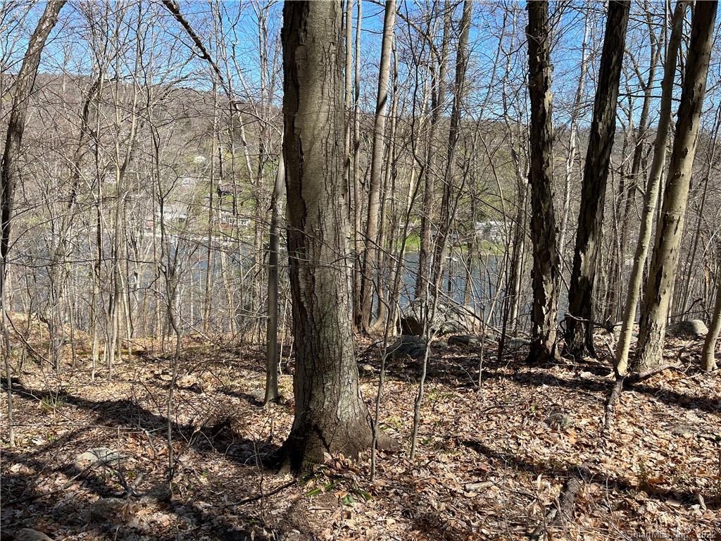 Wagon Wheel Road Sherman, CT 06784 - Photo 15 of 27