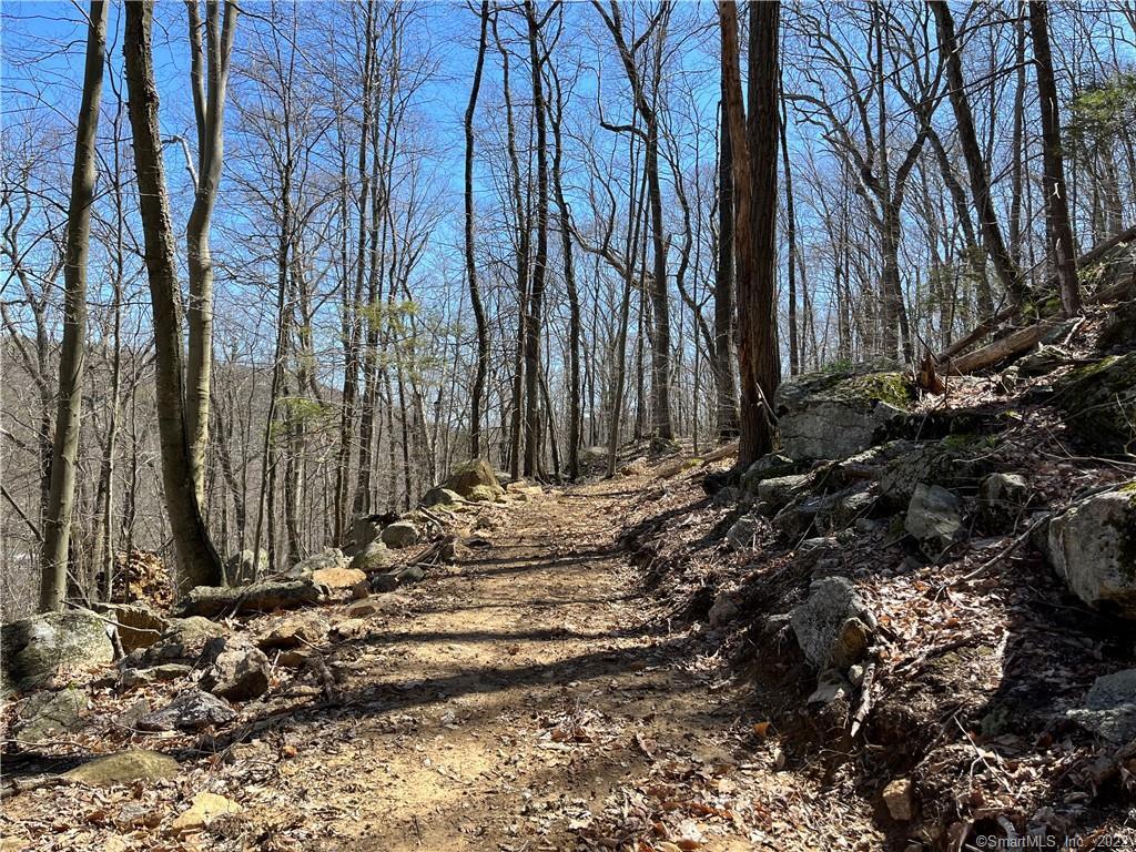 Wagon Wheel Road Sherman, CT 06784 - Photo 16 of 27