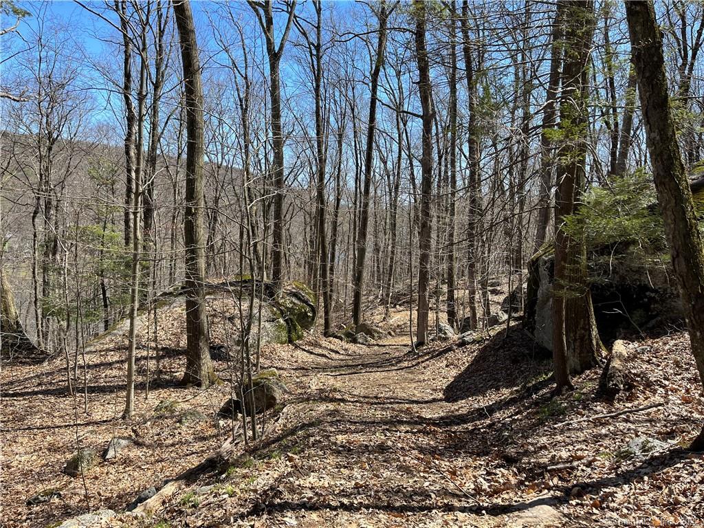 Wagon Wheel Road Sherman, CT 06784 - Photo 18 of 27