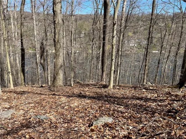 a view of a backyard of the house