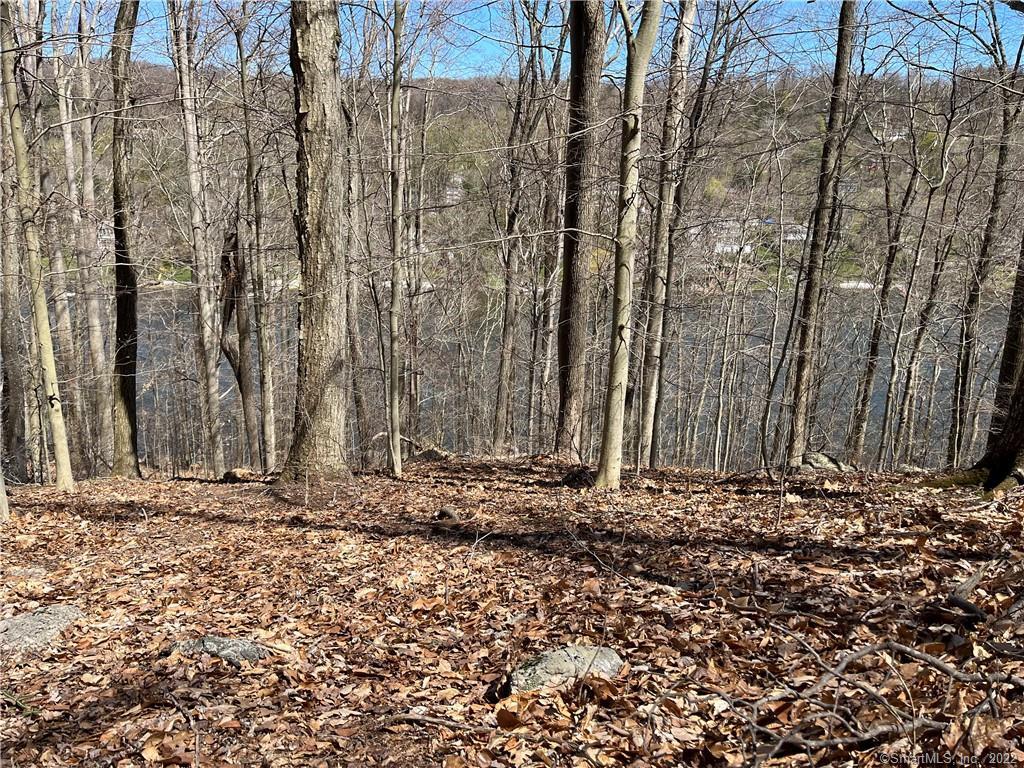 Wagon Wheel Road Sherman, CT 06784 - Photo 20 of 27