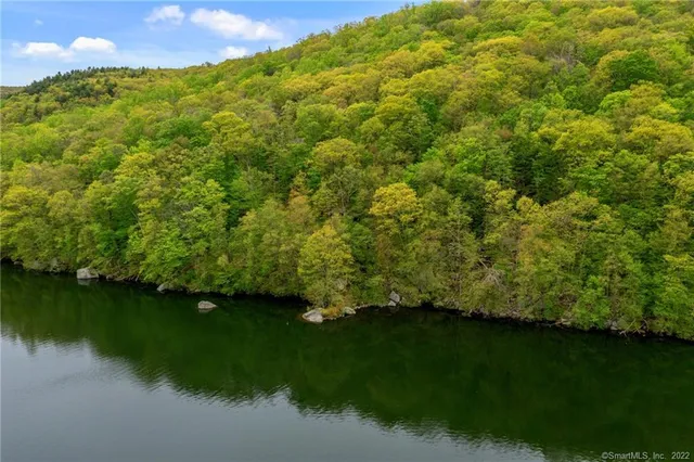 a view of a garden from a lake