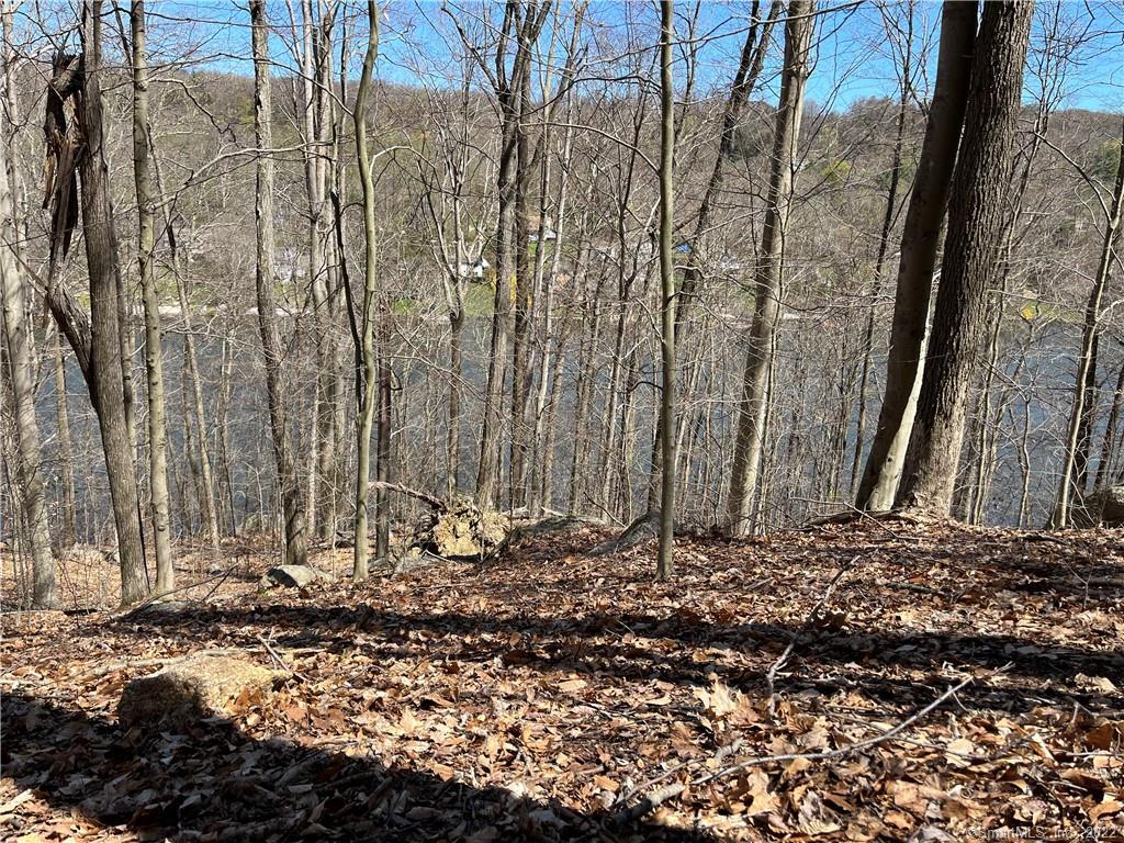 Wagon Wheel Road Sherman, CT 06784 - Photo 21 of 27