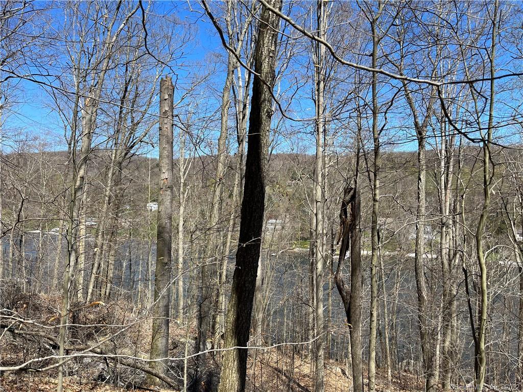 Wagon Wheel Road Sherman, CT 06784 - Photo 22 of 27