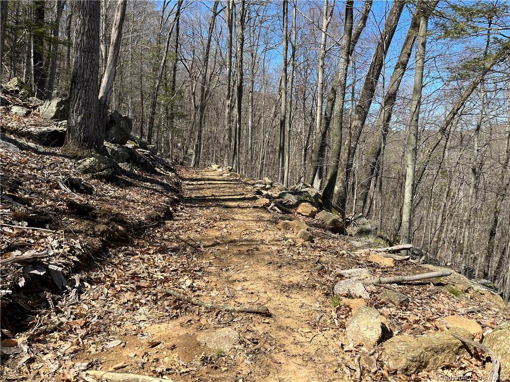 Wagon Wheel Road Sherman, CT 06784 - Photo 23 of 27