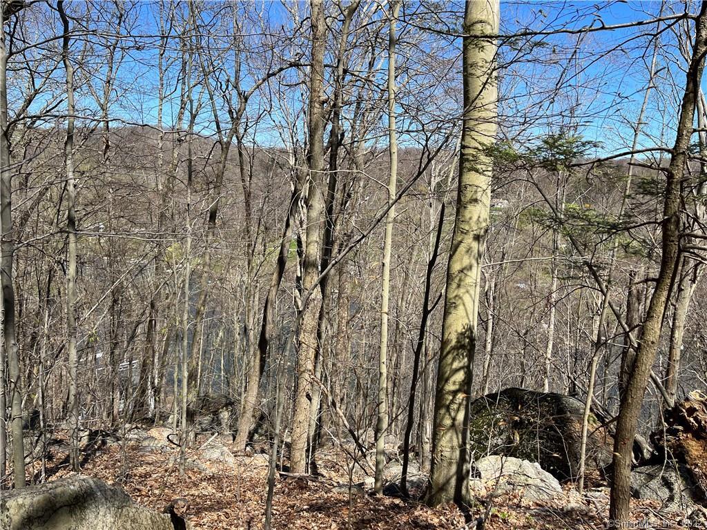 Wagon Wheel Road Sherman, CT 06784 - Photo 24 of 27