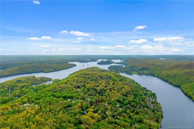 a view of a garden with an outdoor space