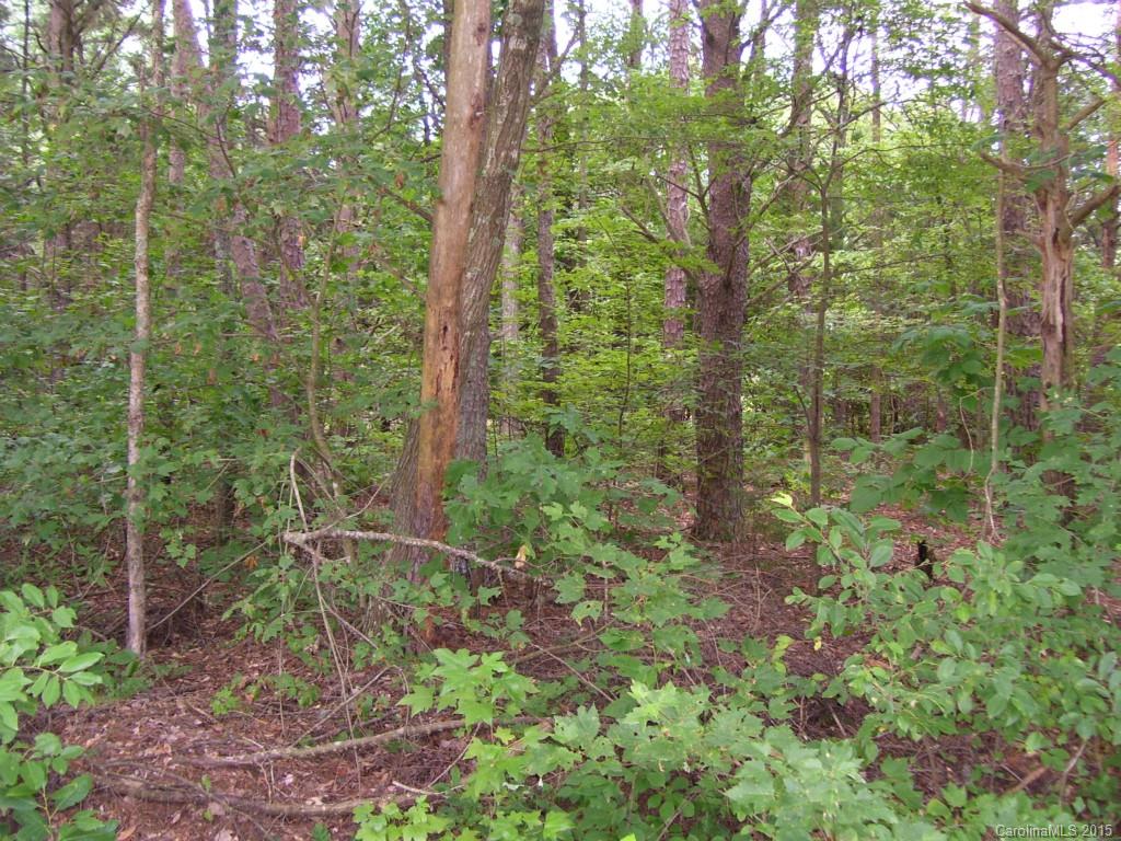 0 Freeze Meadows Road, Unit 6869 China Grove, NC 28023 - Photo 2 of 5