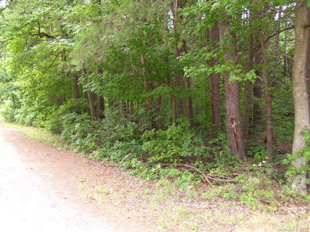 0 Freeze Meadows Road, Unit 6869 China Grove, NC 28023 - Photo 3 of 5
