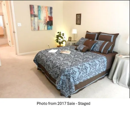 a view of a garden with plants