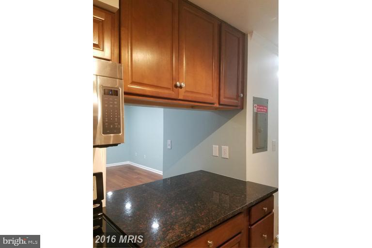2016 37th Street Southeast, Unit 202 Washington, DC 20020 - Photo 11 of 21 Kitchen