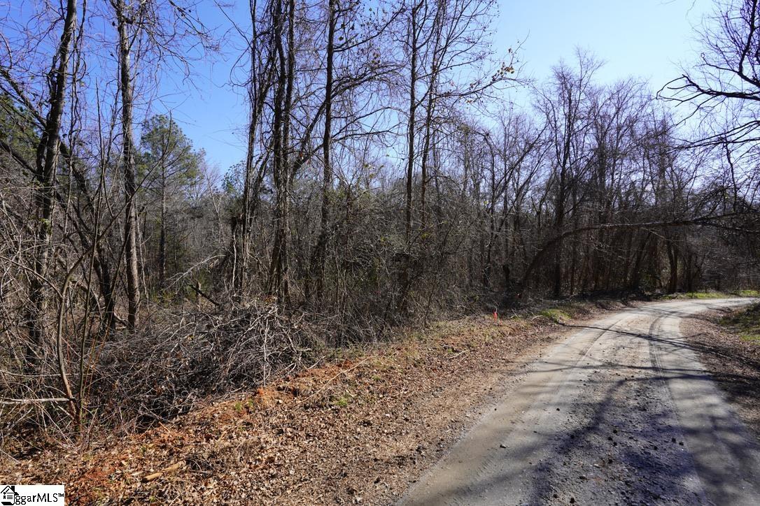 0 Gene Fleming Road, Unit LOT 2) Iva, SC 29655 - Photo 2 of 34