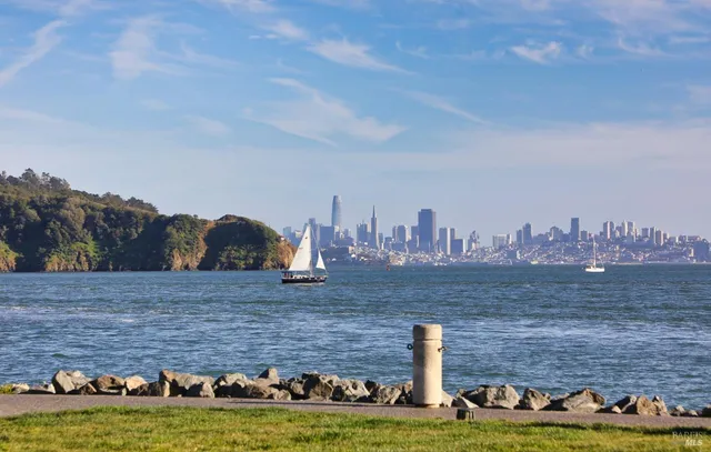 a view of water with boats and trees in the background