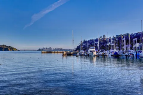 a view of water with boats and trees in the background