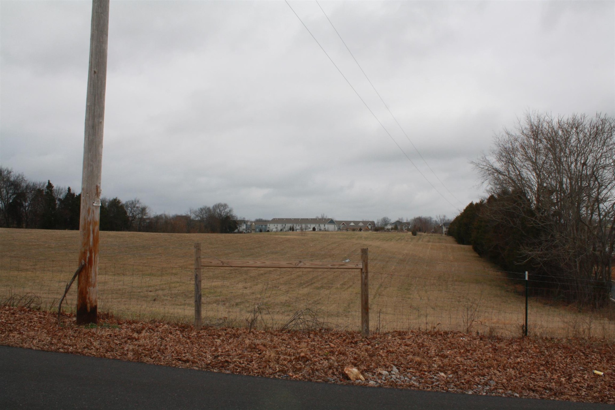 0 Hicks Edgen Road Pleasant View, TN 37146 - Photo 4 of 10