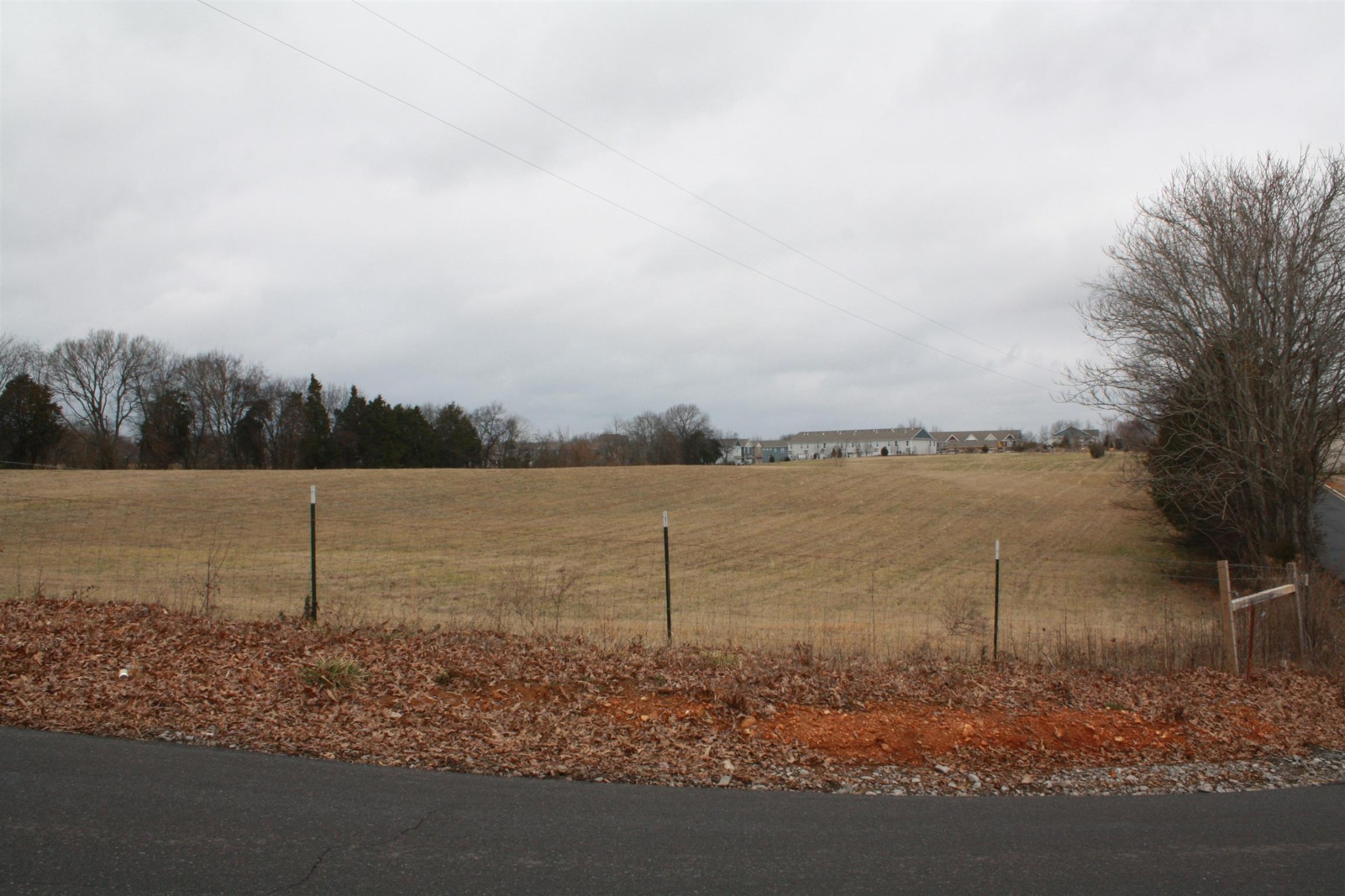 0 Hicks Edgen Road Pleasant View, TN 37146 - Photo 6 of 10