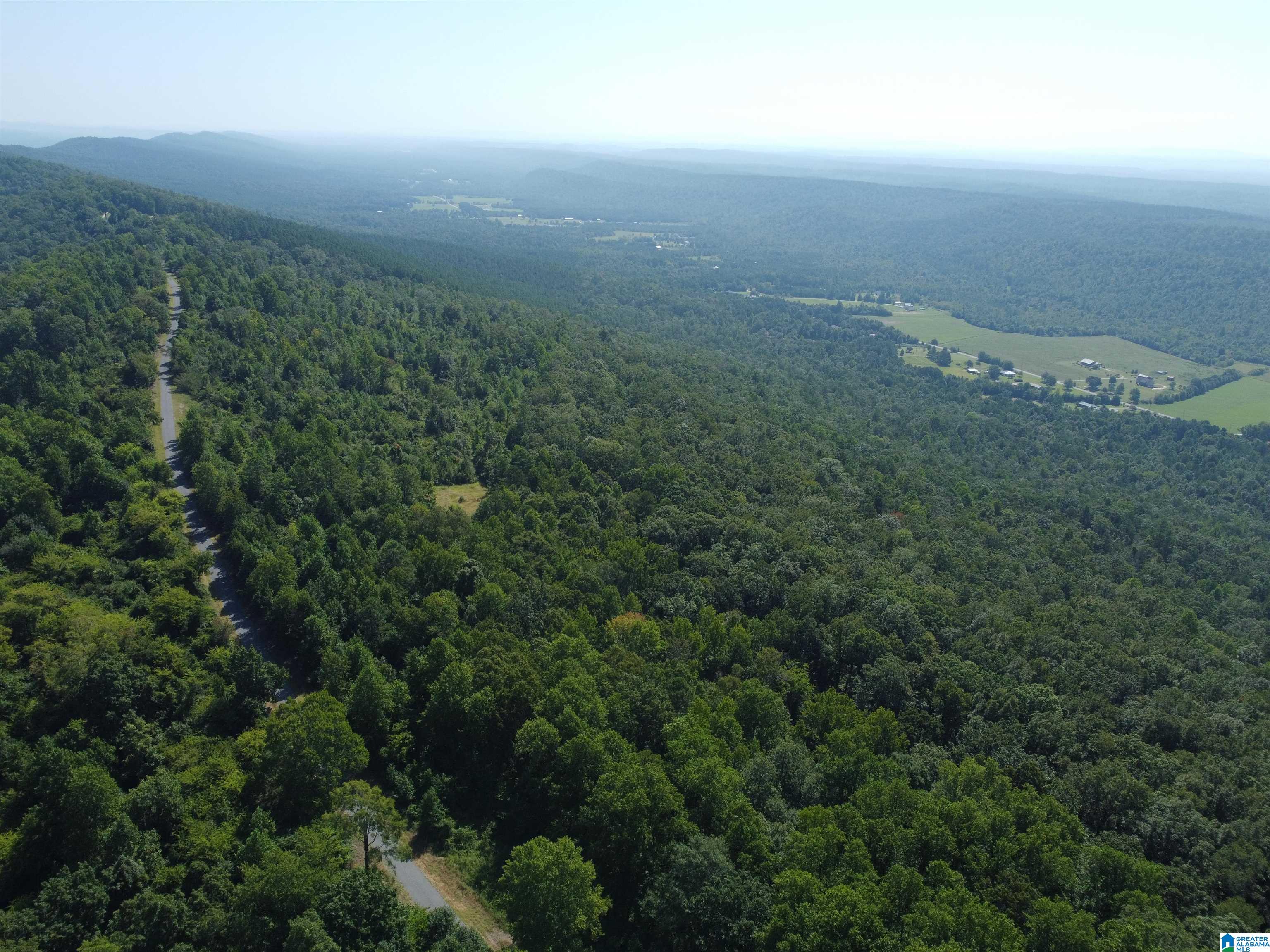 0 Beaver Mountain Road Ashville, AL 35953 - Photo 19 of 40