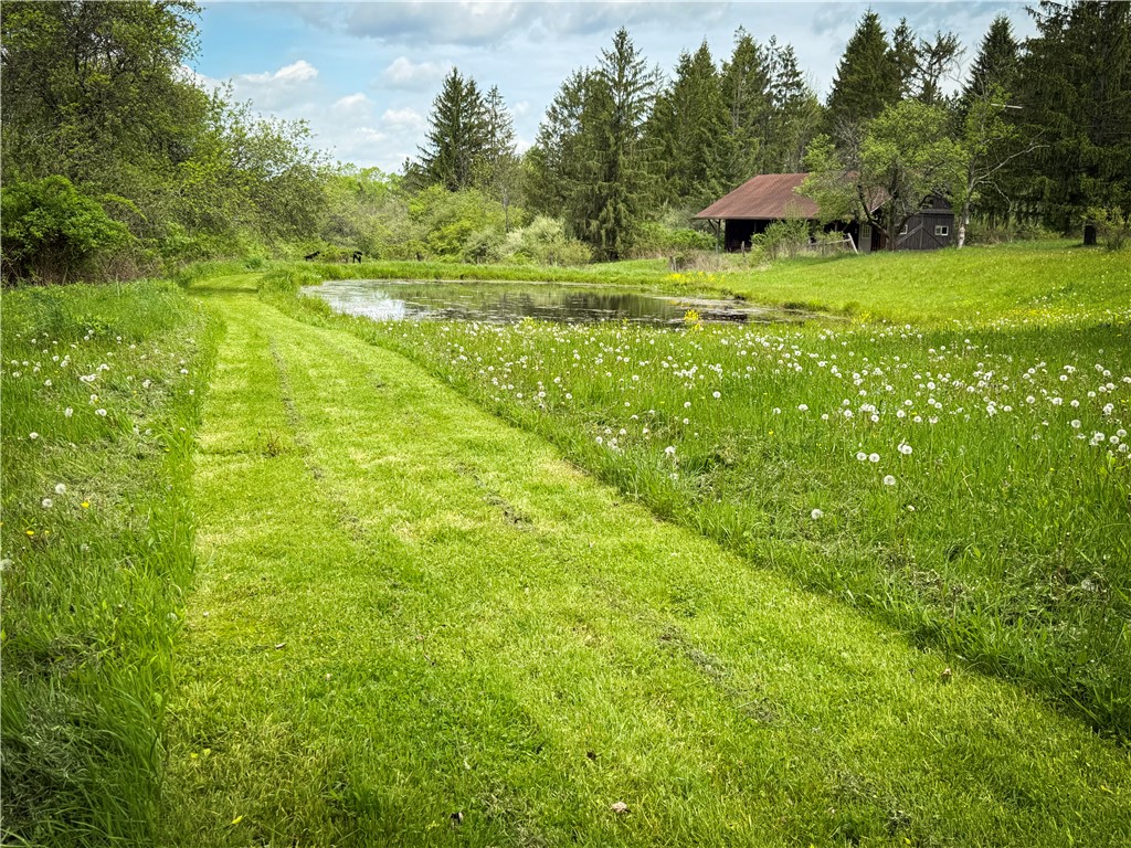 450 Dean Creek Road Spencer, NY 14883 - Photo 44 of 50