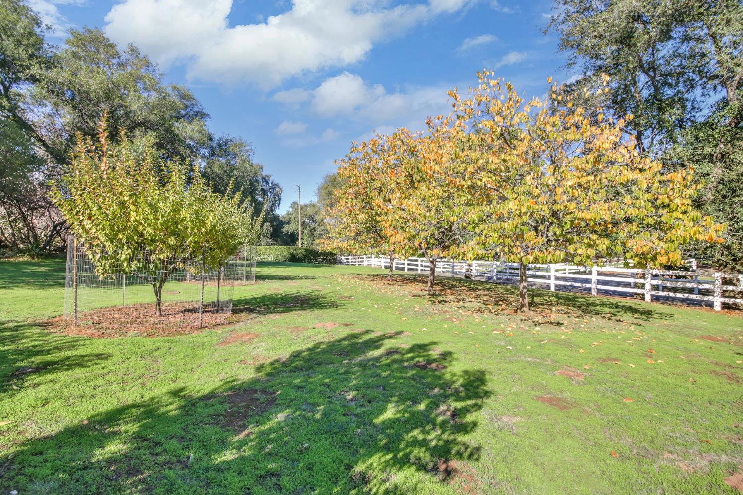 3140 Brennans Road Loomis, CA 95650 - Photo 25 of 45 a view of a golf course with a lake